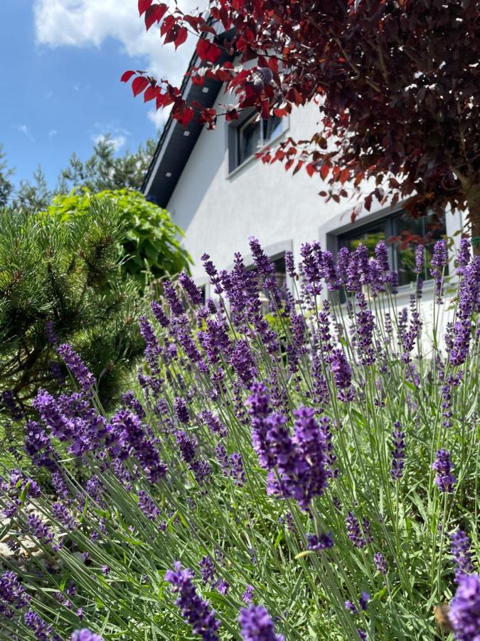 Hortus Z Klimatyzacja